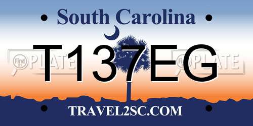 T137EG South Carolina License Plate