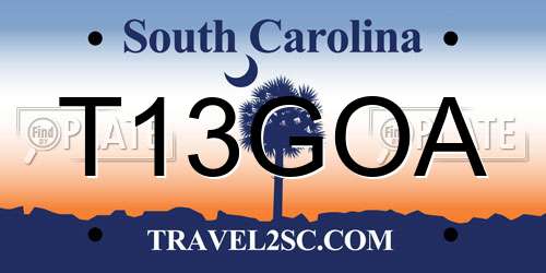 T13GOA South Carolina License Plate