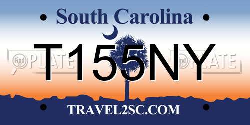 T155NY South Carolina License Plate