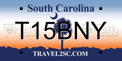 T15BNY South Carolina License Plate