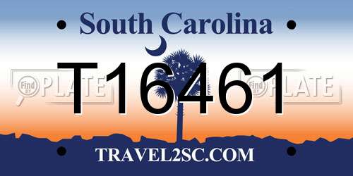 T16461 South Carolina License Plate