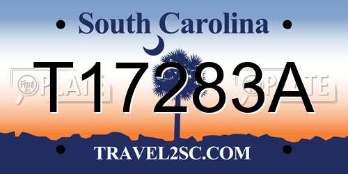 T17283A South Carolina License Plate