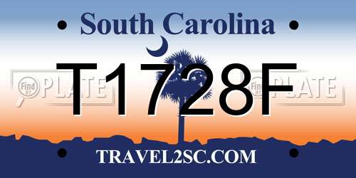 T1728F South Carolina License Plate