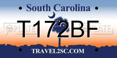 T172BF South Carolina License Plate