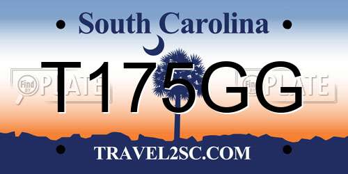 T175GG South Carolina License Plate