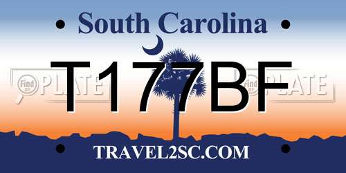 T177BF South Carolina License Plate