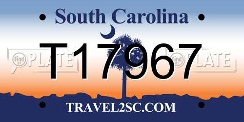 T17967 South Carolina License Plate