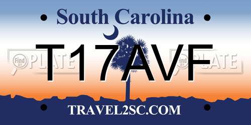 T17AVF South Carolina License Plate