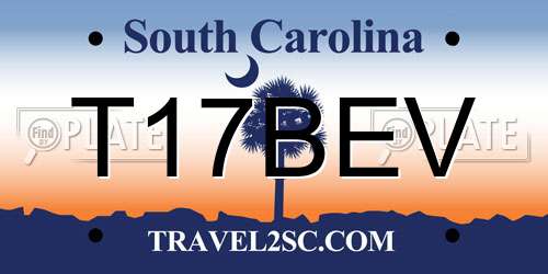 T17BEV South Carolina License Plate