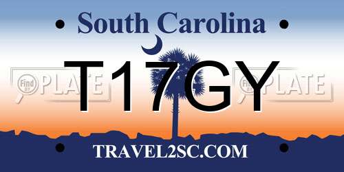 T17GY South Carolina License Plate