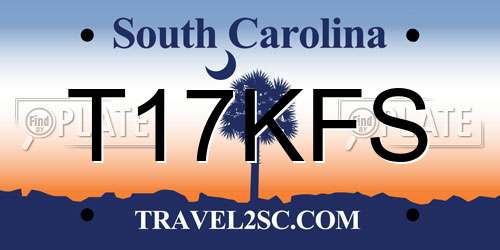T17KFS South Carolina License Plate