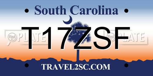 T17ZSF South Carolina License Plate