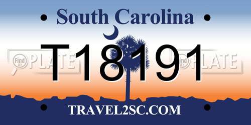 T18191 South Carolina License Plate