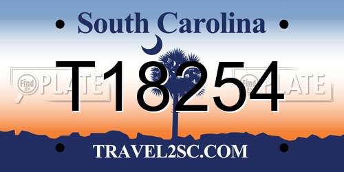 T18254 South Carolina License Plate