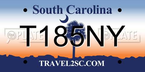 T185NY South Carolina License Plate