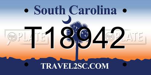 T18942 South Carolina License Plate