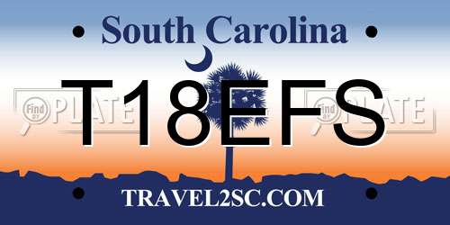 T18EFS South Carolina License Plate