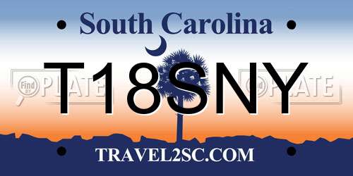 T18SNY South Carolina License Plate