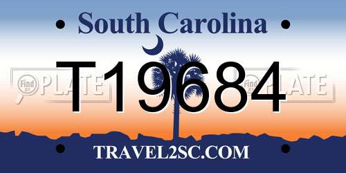 T19684 South Carolina License Plate