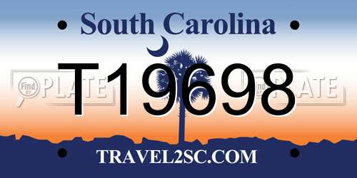 T19698 South Carolina License Plate