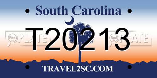 T20213 South Carolina License Plate