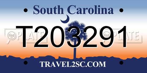 T203291 South Carolina License Plate