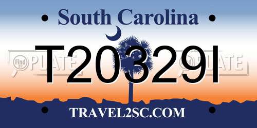 T20329I South Carolina License Plate