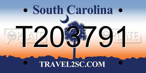 T203791 South Carolina License Plate
