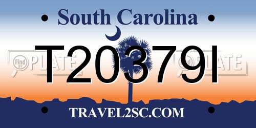 T20379I South Carolina License Plate