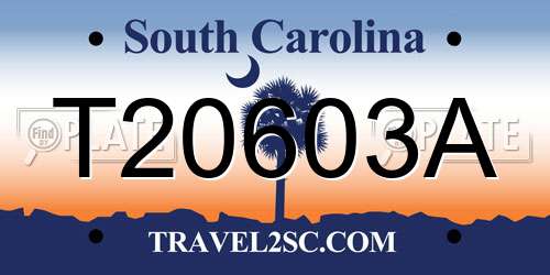 T20603A South Carolina License Plate