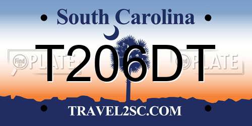 T206DT South Carolina License Plate