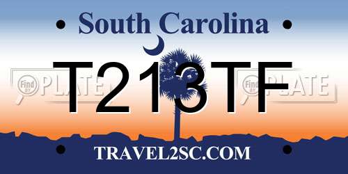 T213TF South Carolina License Plate