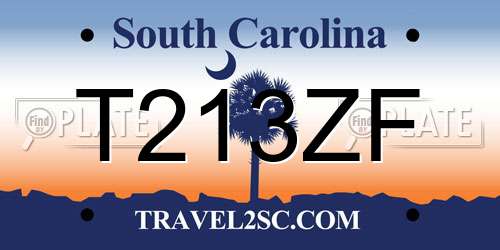 T213ZF South Carolina License Plate