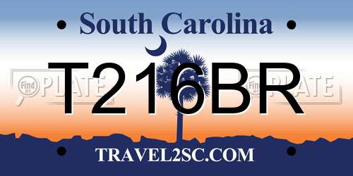 T216BR South Carolina License Plate