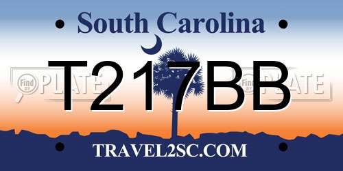 T217BB South Carolina License Plate