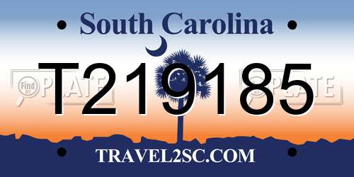 T219185 South Carolina License Plate
