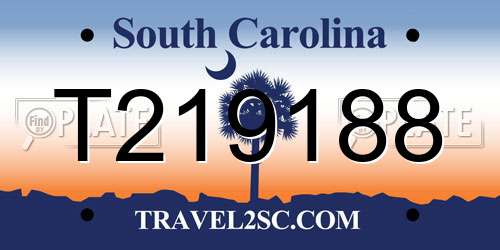 T219188 South Carolina License Plate