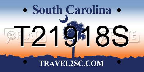 T21918S South Carolina License Plate