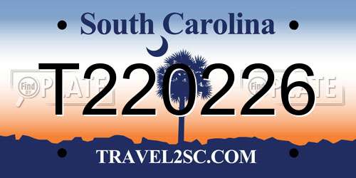T220226 South Carolina License Plate