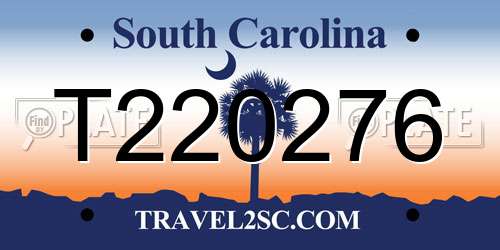T220276 South Carolina License Plate