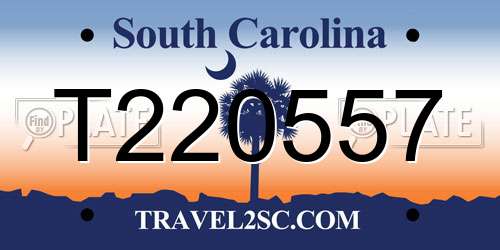 T220557 South Carolina License Plate