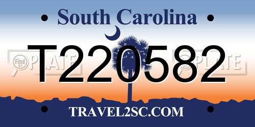 T220582 South Carolina License Plate