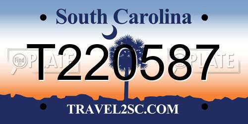 T220587 South Carolina License Plate