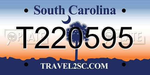 T220595 South Carolina License Plate