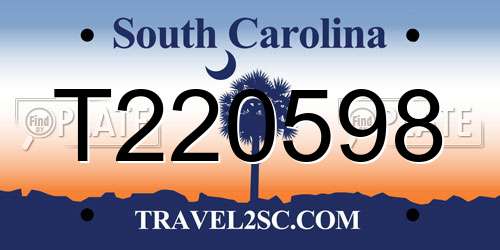 T220598 South Carolina License Plate