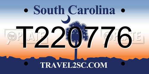 T220776 South Carolina License Plate