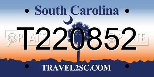 T220852 South Carolina License Plate
