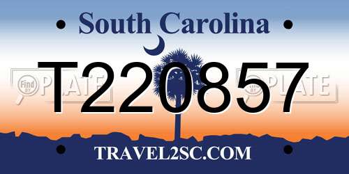 T220857 South Carolina License Plate