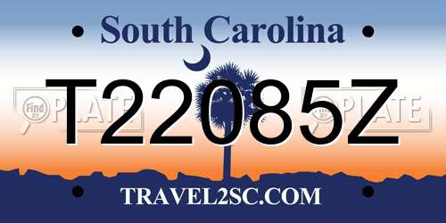 T22085Z South Carolina License Plate