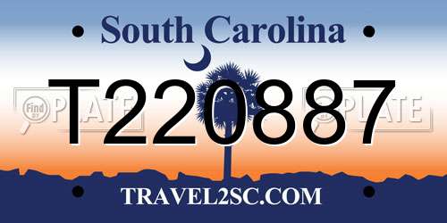T220887 South Carolina License Plate